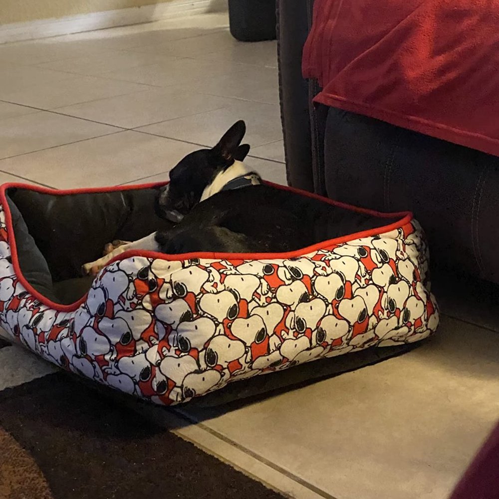 Peanuts Snoopy Plush Washable Cuddlier Dog Or Cat Bed Red Elevated Non Skid New